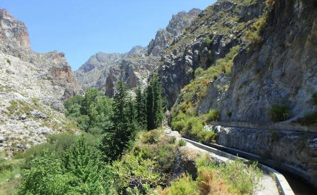 Ufervegetation entlang der Ruta de los Cahorros in Dúrcal bei Granada