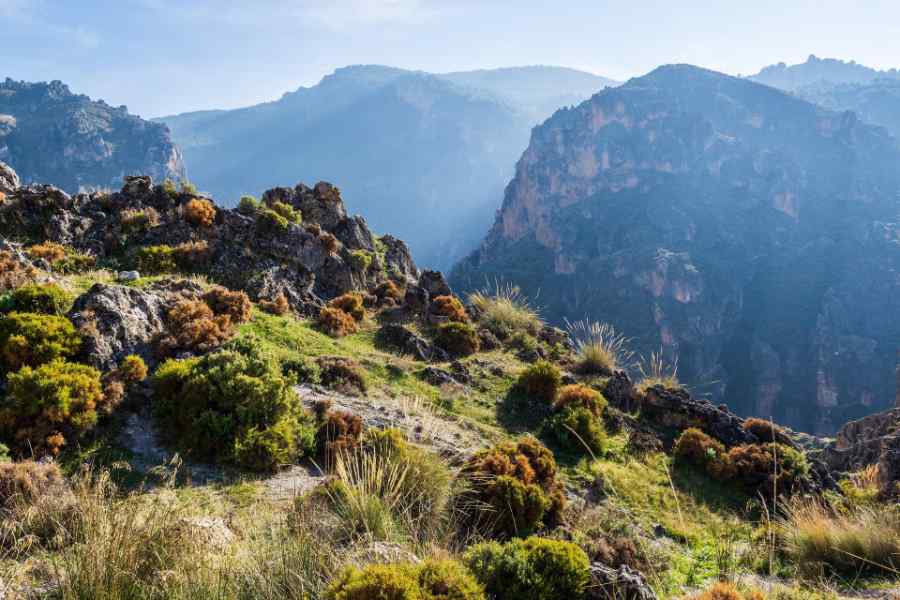 Scenic Overview Los Cahorros
