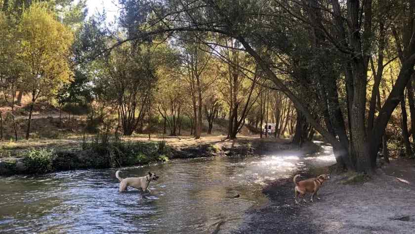 Nature Walk Pinos Genil